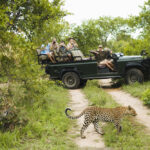 Safari Adventure- Wildlife Safaris in Africa